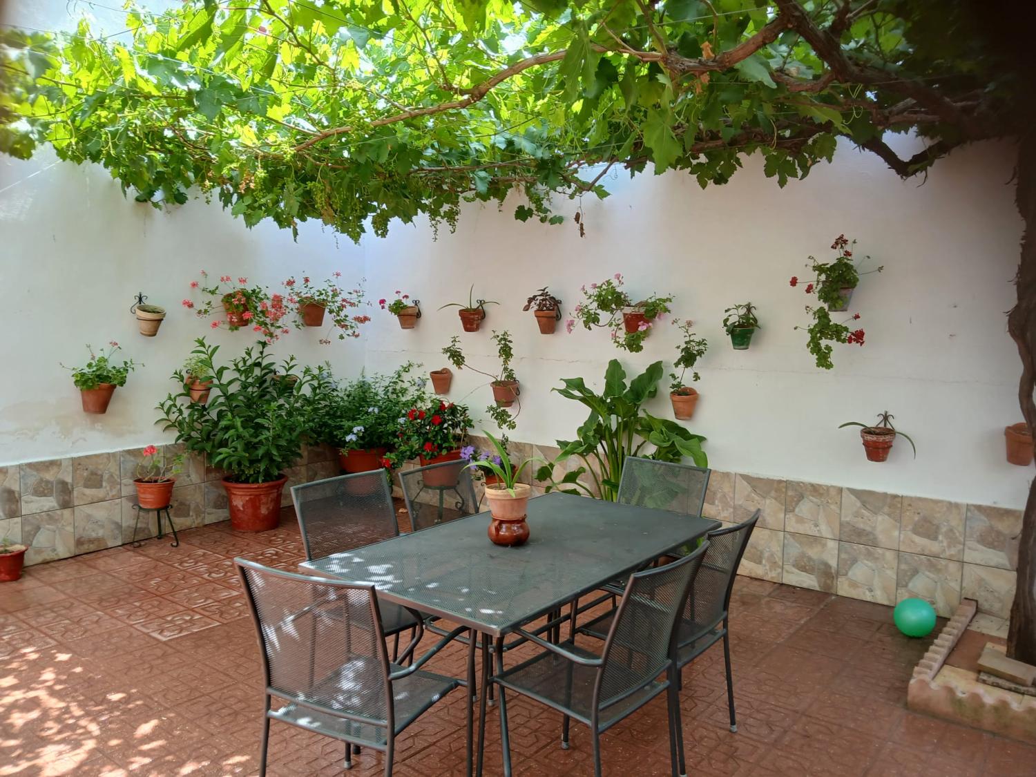  for sale house Cabra Subbética 18