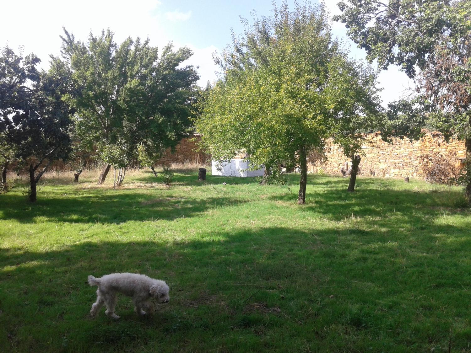  for sale country house Val De San Lorenzo Astorga 11