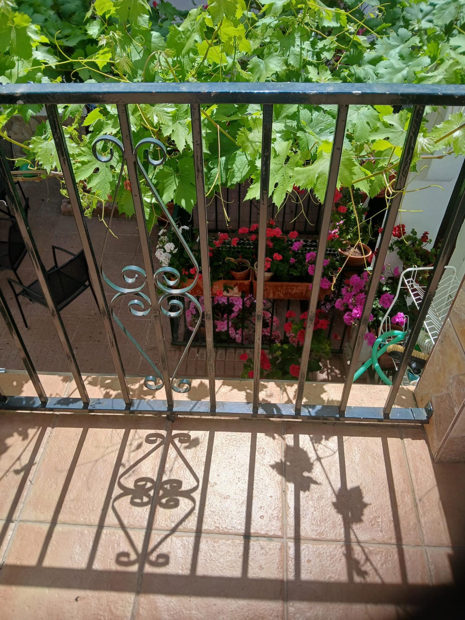  for sale house Cabra Subbética 21