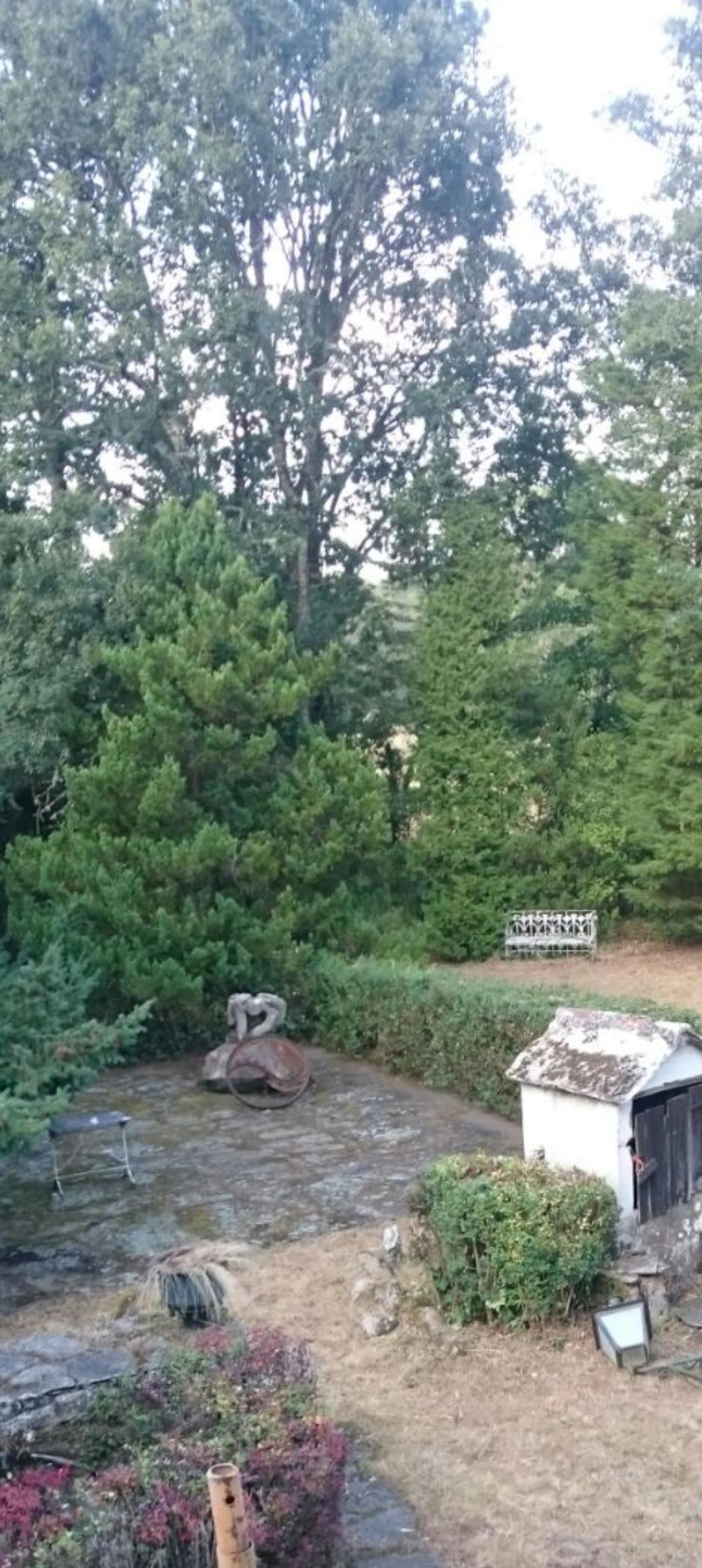 for sale country house Begonte Terra Chá 3