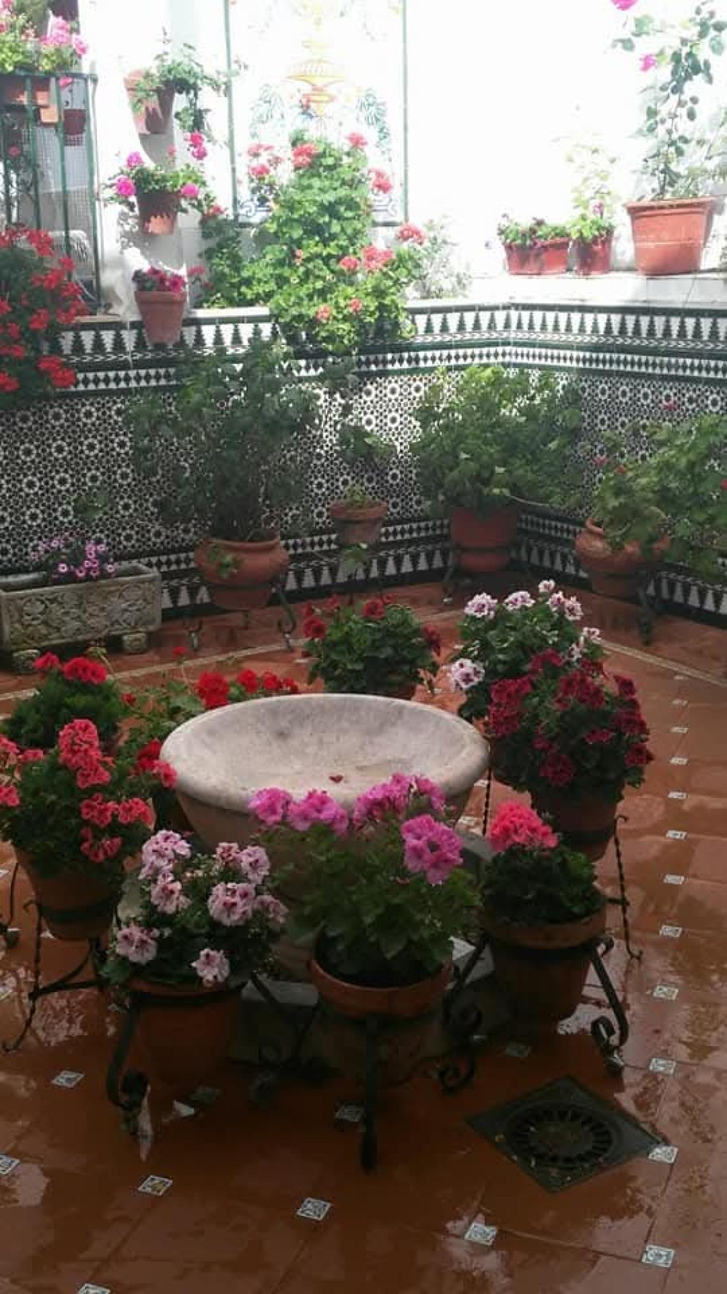  for sale house Cabra Subbética 15