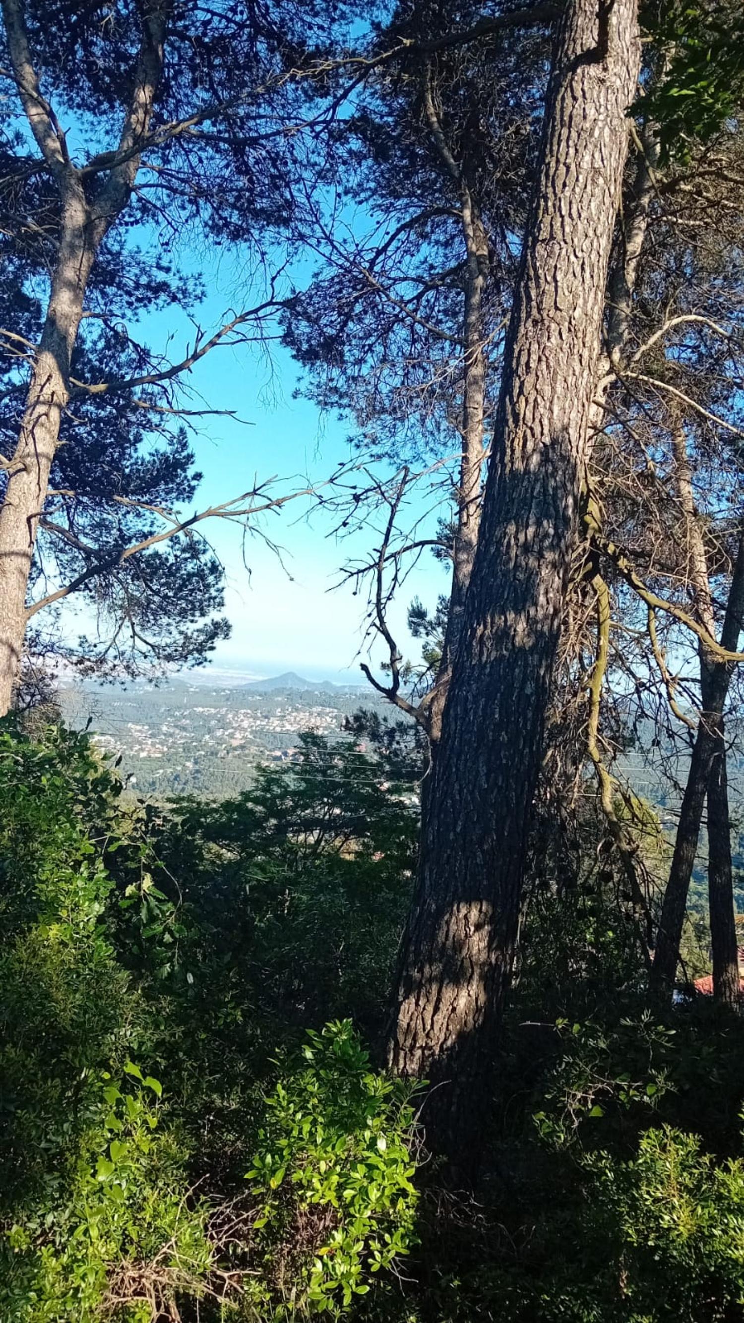  for sale plot Corbera De Llobregat Baix Llobregat 2