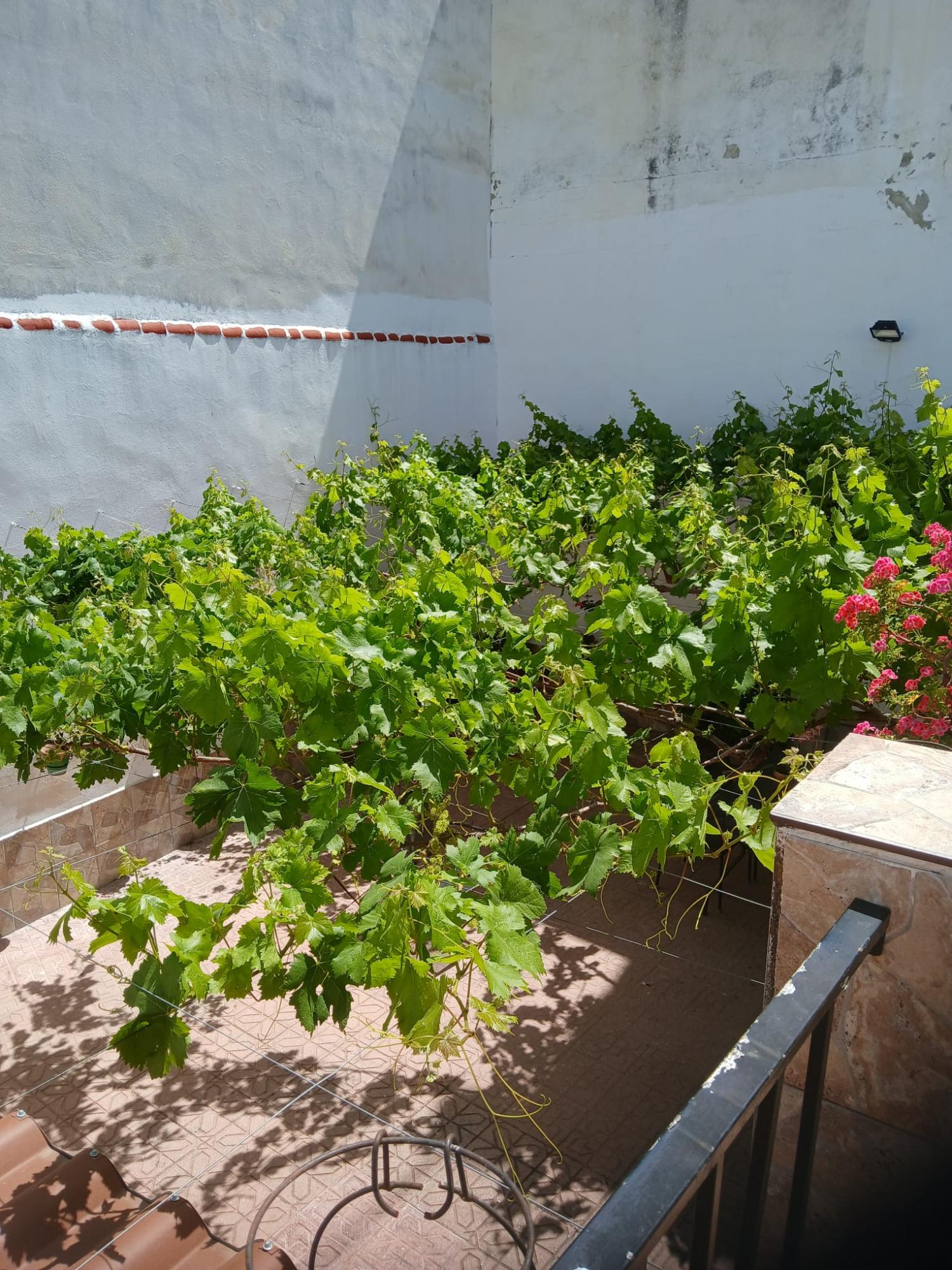  for sale house Cabra Subbética 20