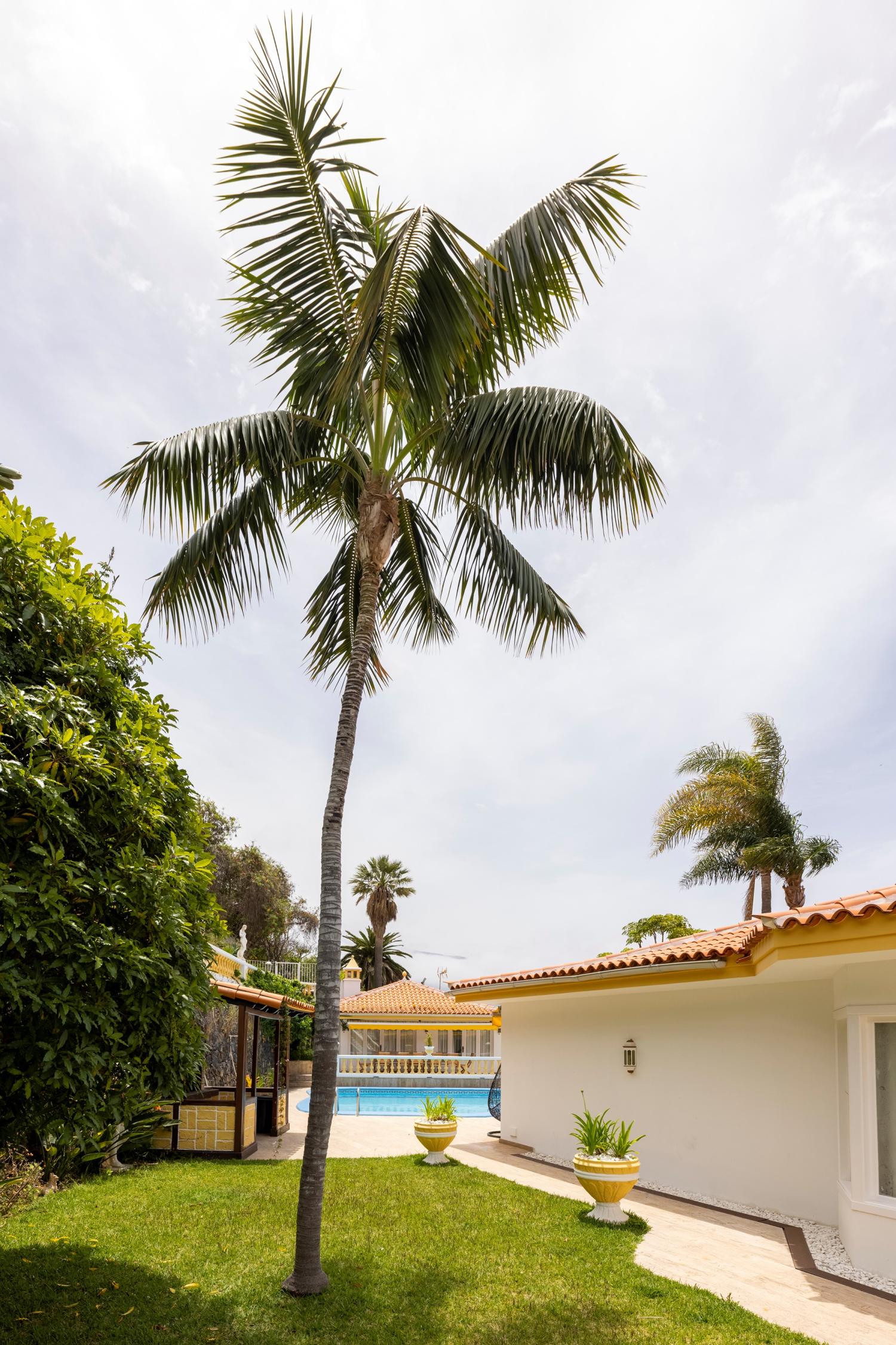  for sale villa La Orotava 38312 Zona Norte 47