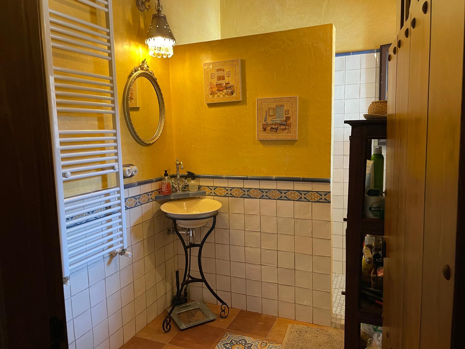  for sale country house Constantina Sierra Norte 11
