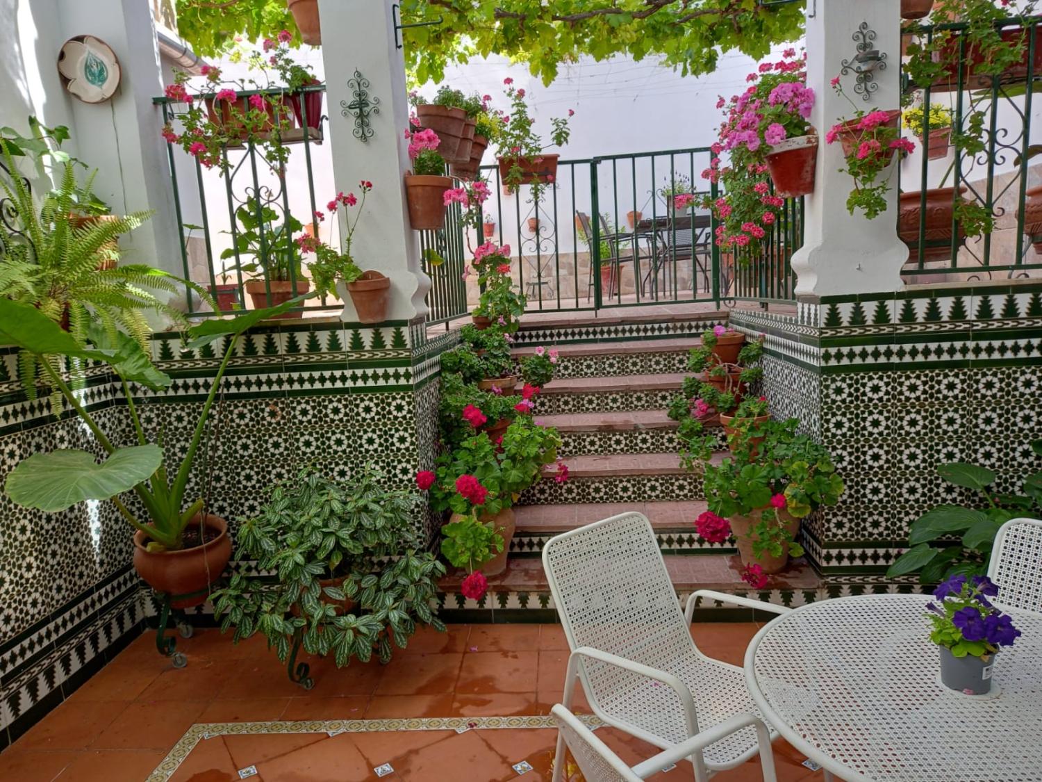  for sale house Cabra Subbética 17