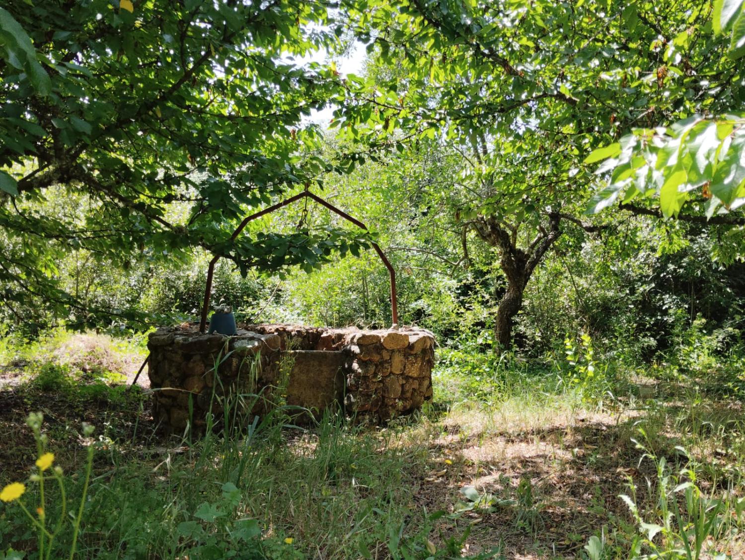  for sale country house Cañamero Villuercas 7
