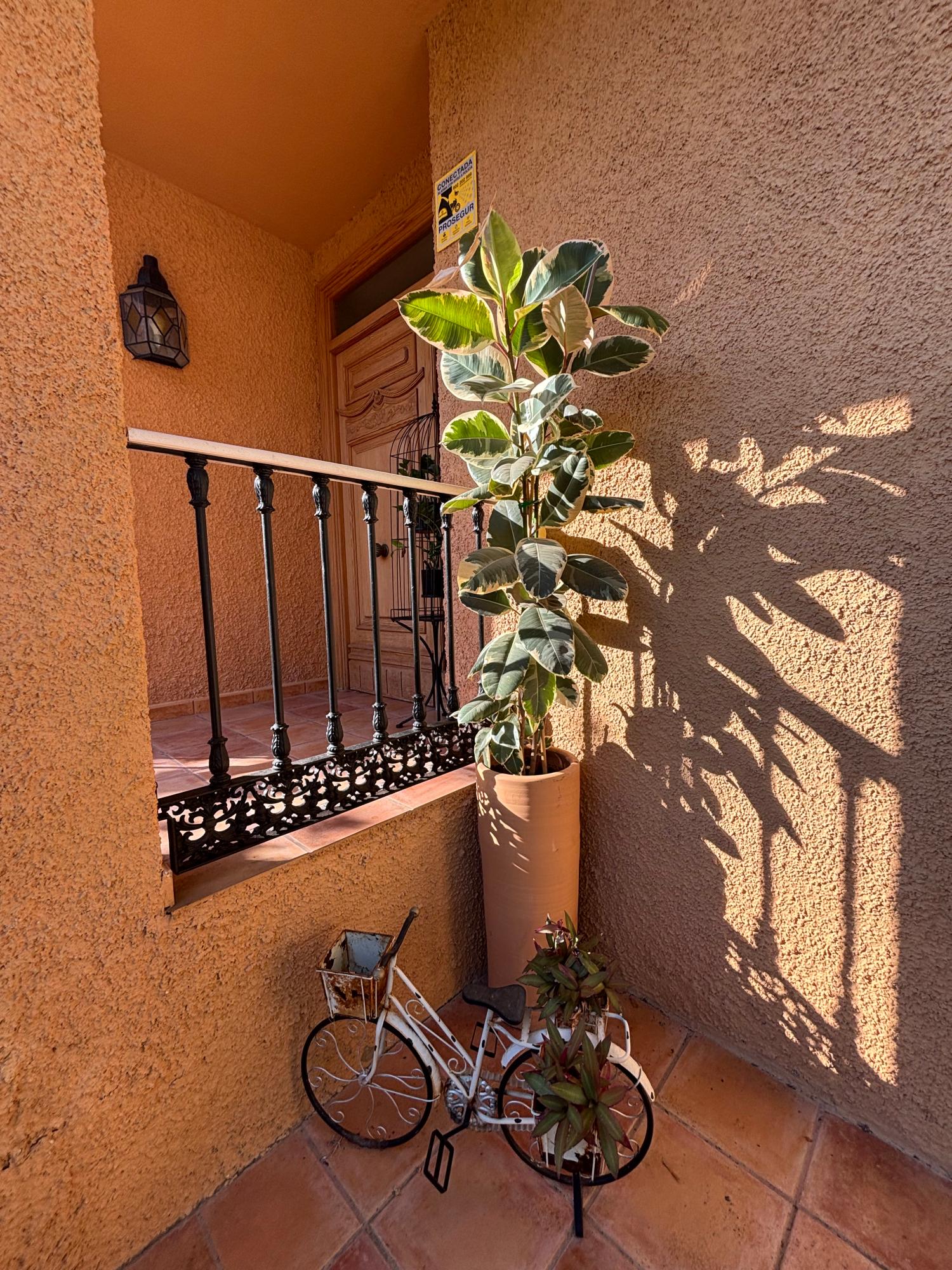  for sale villa San Vicente Del Raspeig Alacantí 12