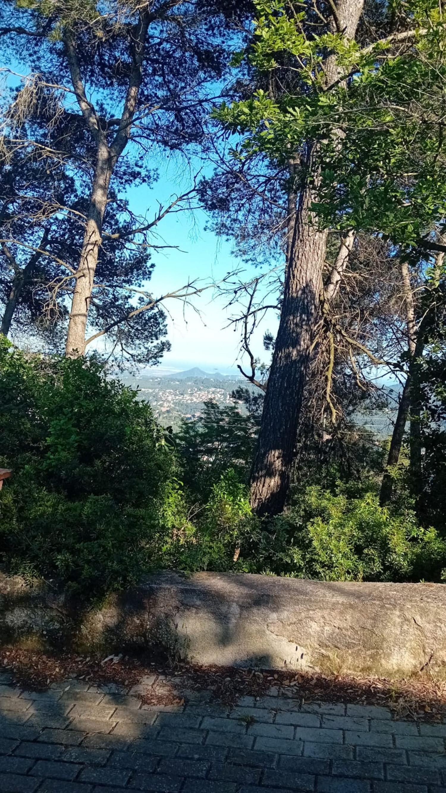  for sale plot Corbera De Llobregat Baix Llobregat 3