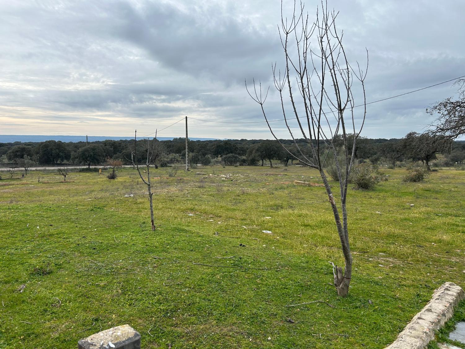  for sale country house Serradilla Monfragüe 23