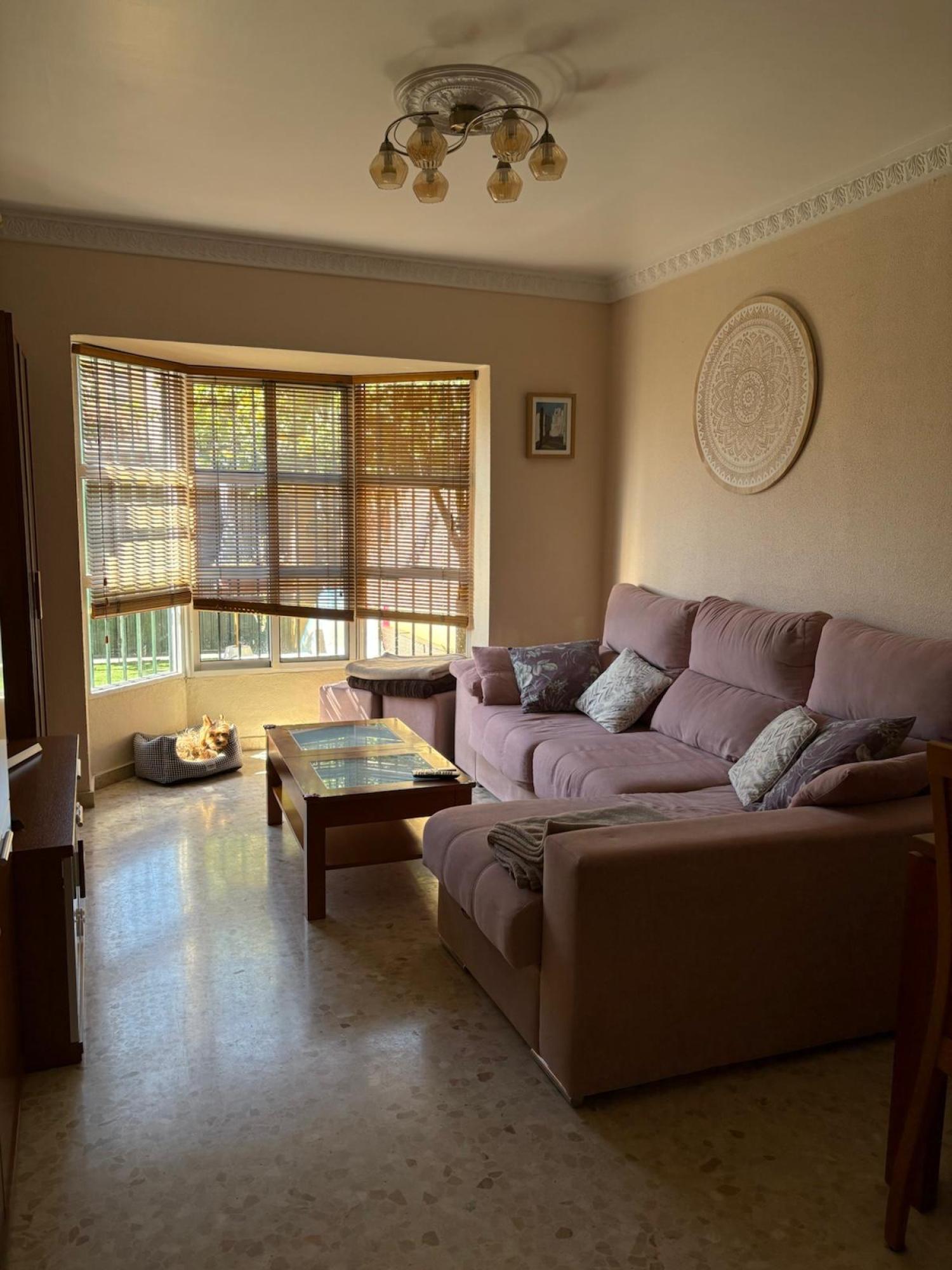  for sale semi-detached house Chiclana De La Frontera Bahía De Cádiz 15