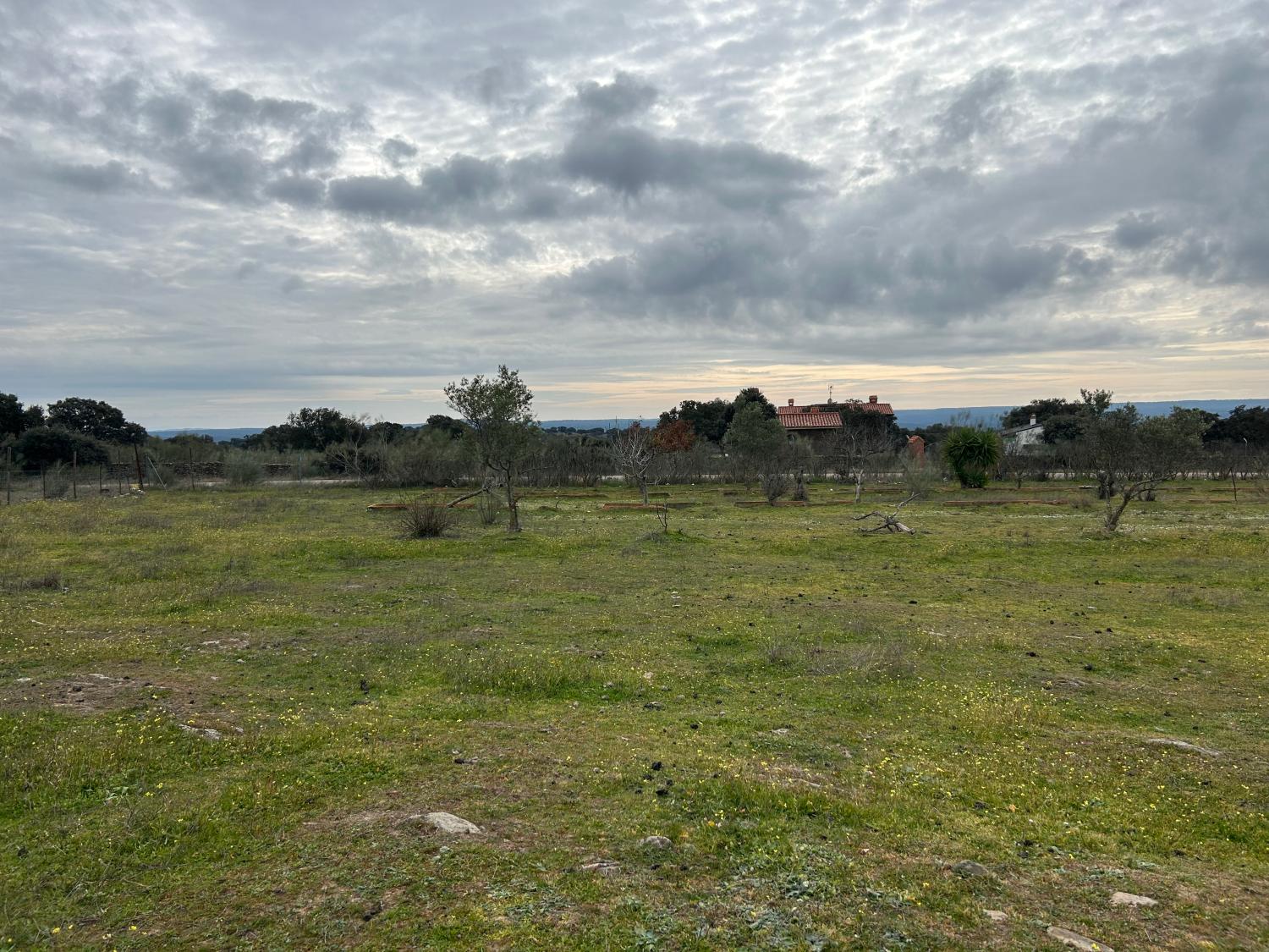  for sale country house Serradilla Monfragüe 17