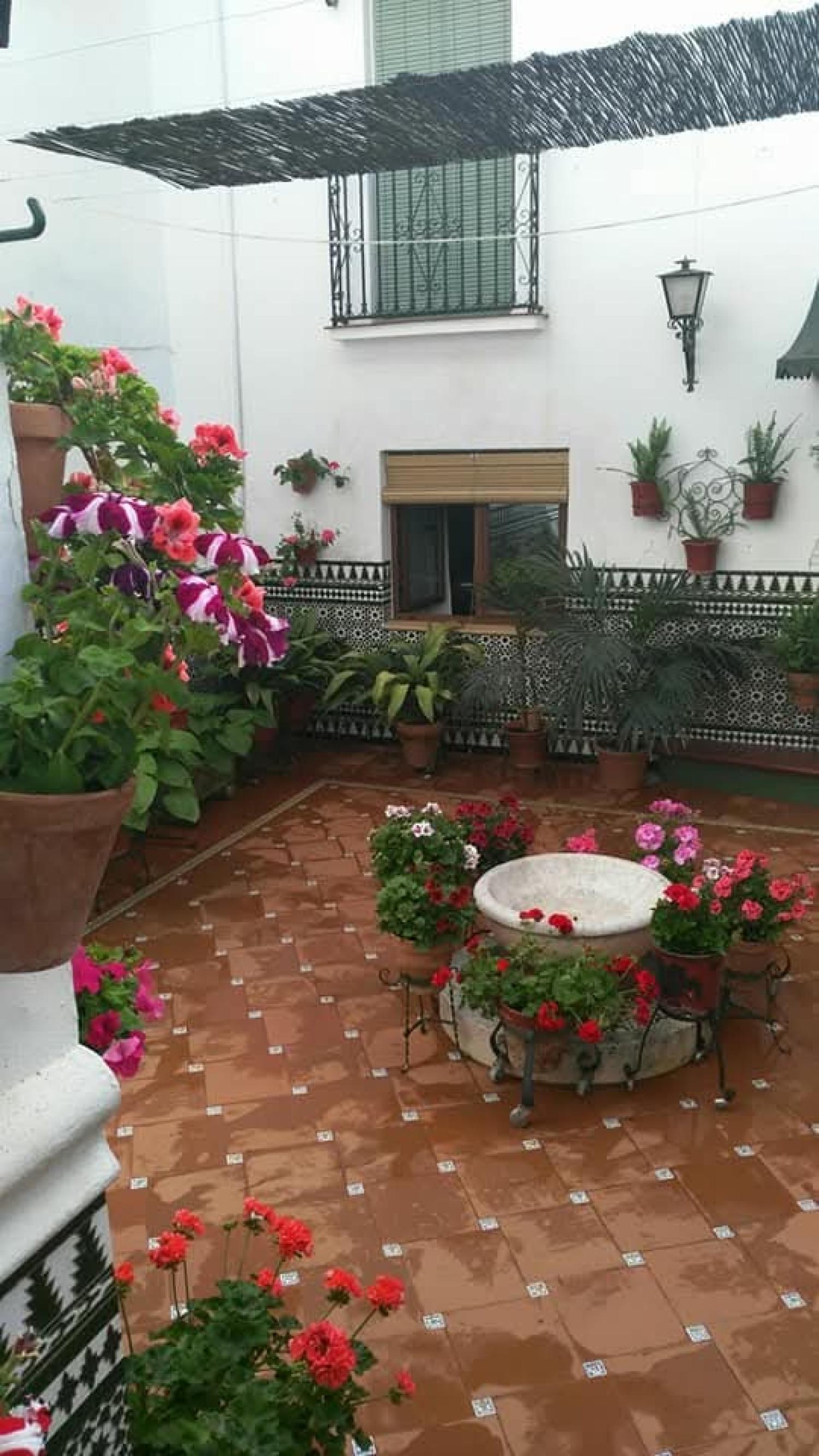  for sale house Cabra Subbética 14