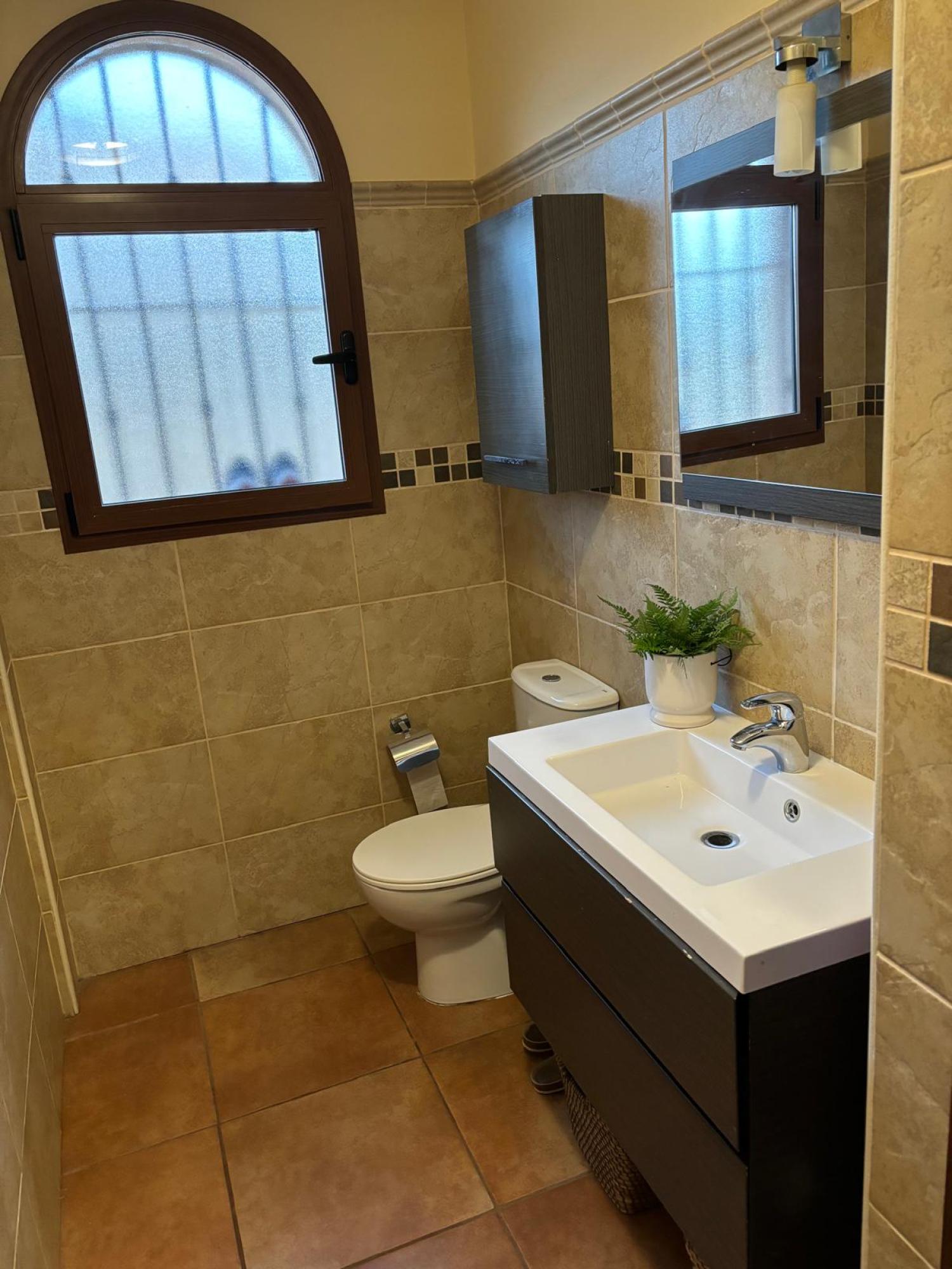  for sale villa Bigastro Baix Segura 14