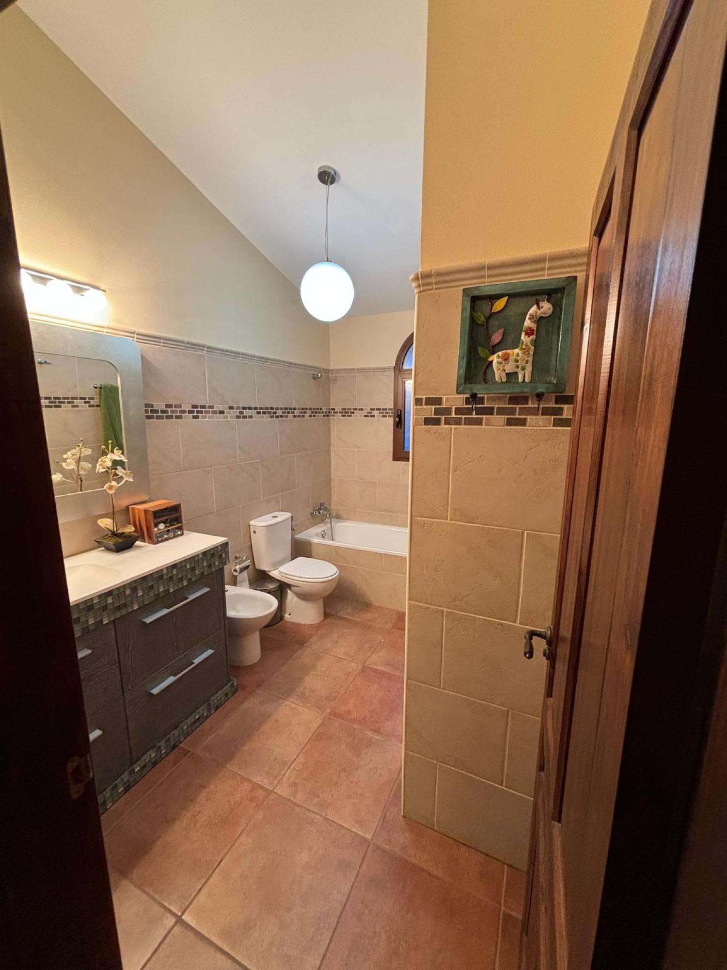  for sale villa Bigastro Baix Segura 19