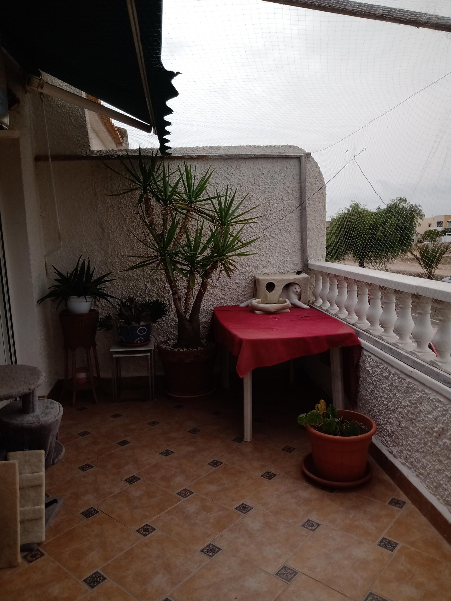  for sale semi-detached house Orihuela Costa Baix Segura 6
