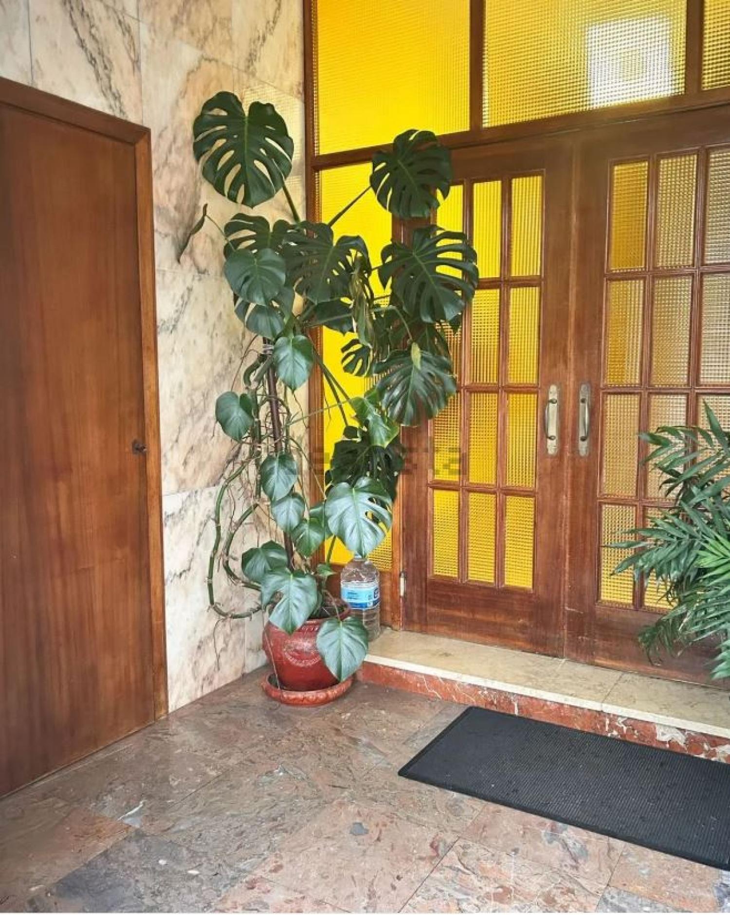  for sale apartment Guitiriz Terra Chá 17
