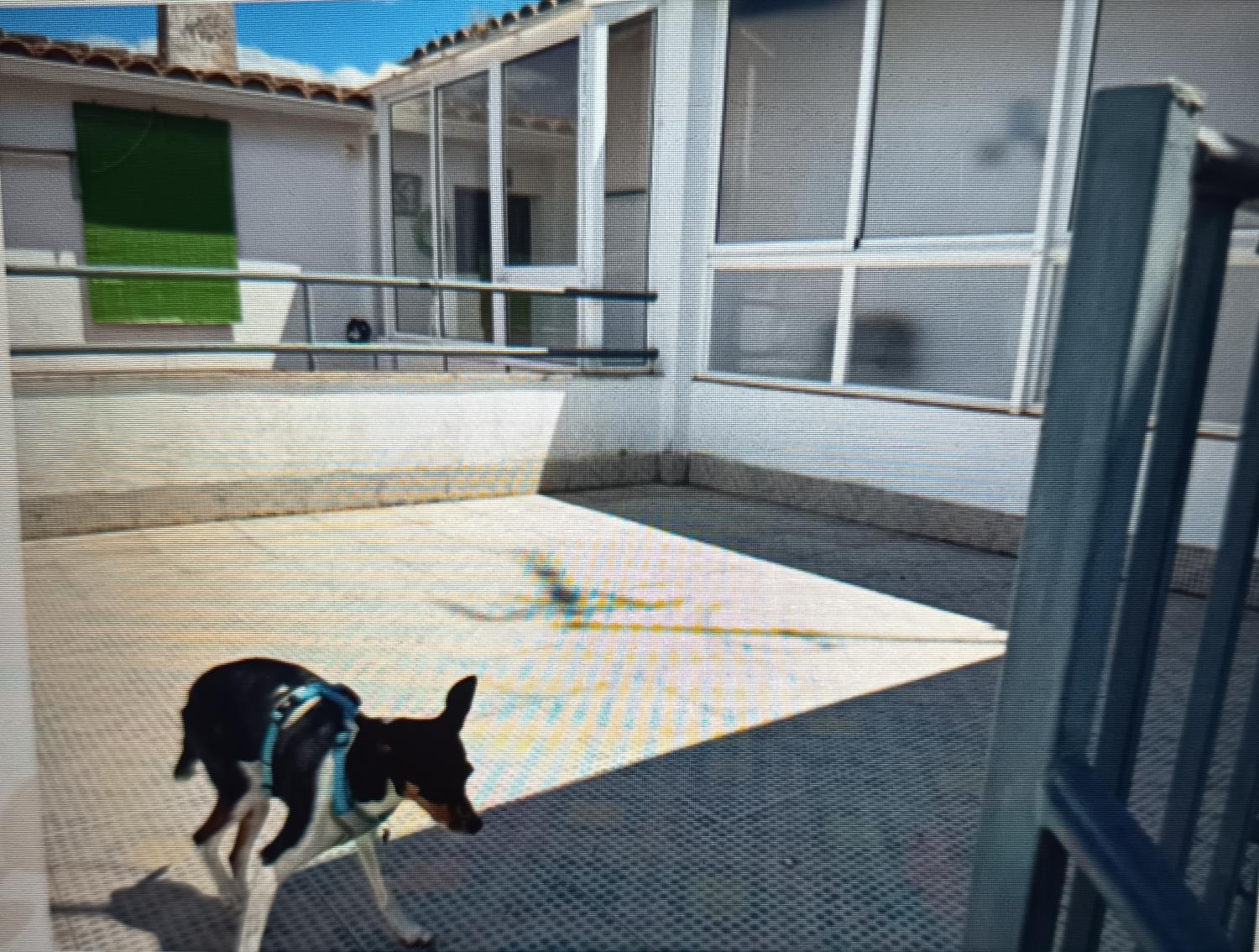  for sale house Cardeña Pedroches (Los) 5