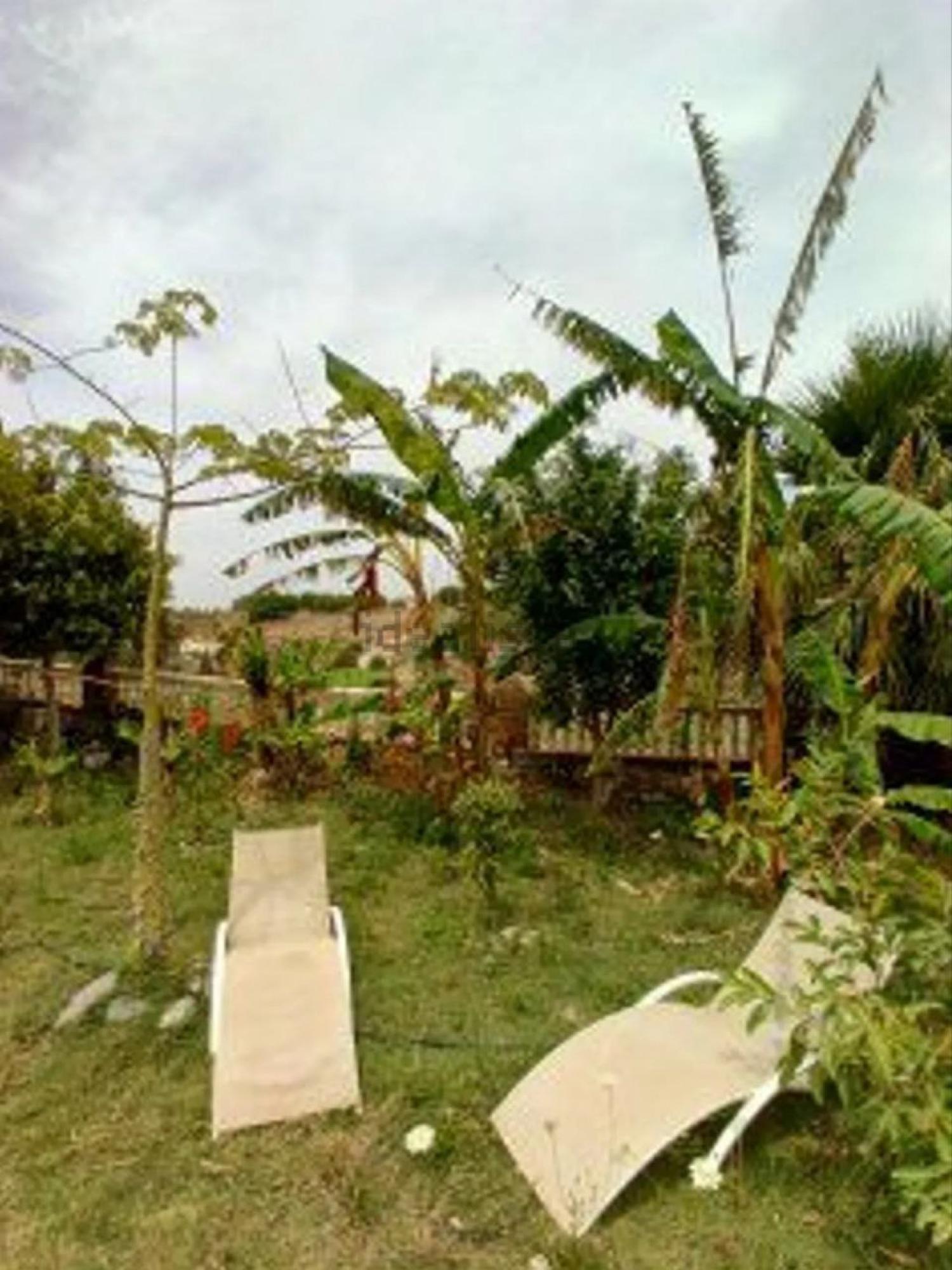  for sale country house Motril Costa Tropical 26
