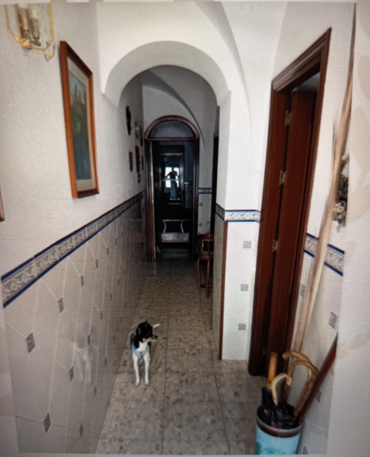  for sale house Cardeña Pedroches (Los) 2