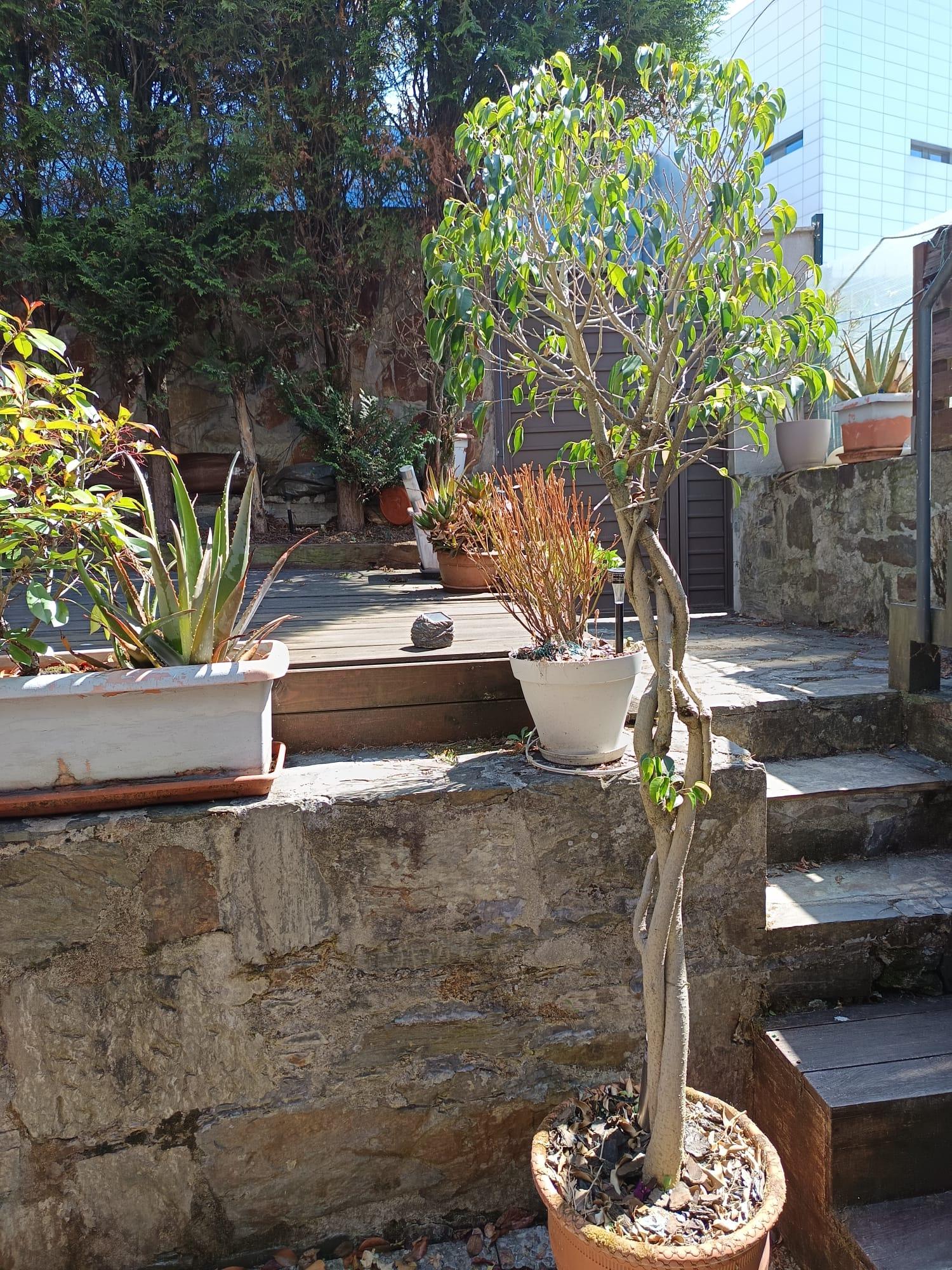  for sale semi-detached house Cuatro Caminos-A Gaiteira Coruña 2