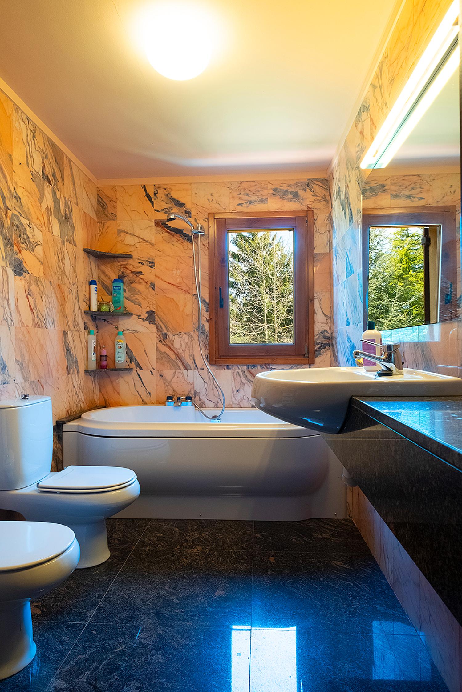  for sale villa Vallfogona De Ripollès Ripollès 5