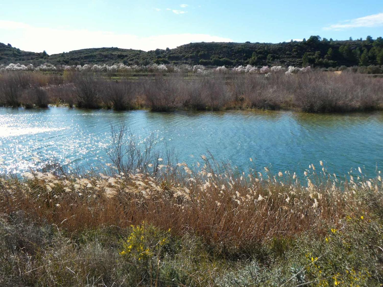  for sale country house Fabara Bajo Aragón-Caspe 4