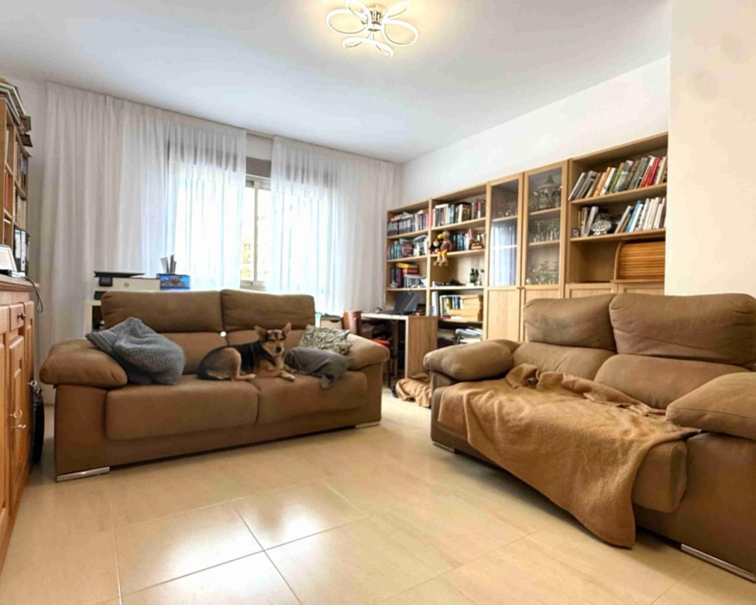 for sale apartment San Miguel De Salinas Baix Segura 16