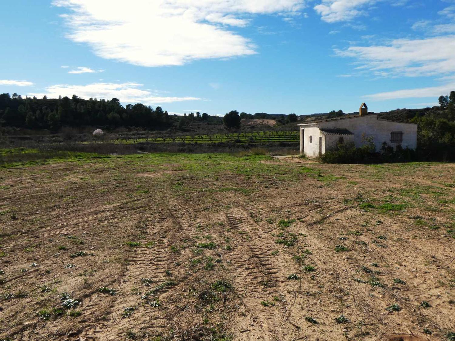  for sale country house Fabara Bajo Aragón-Caspe 29