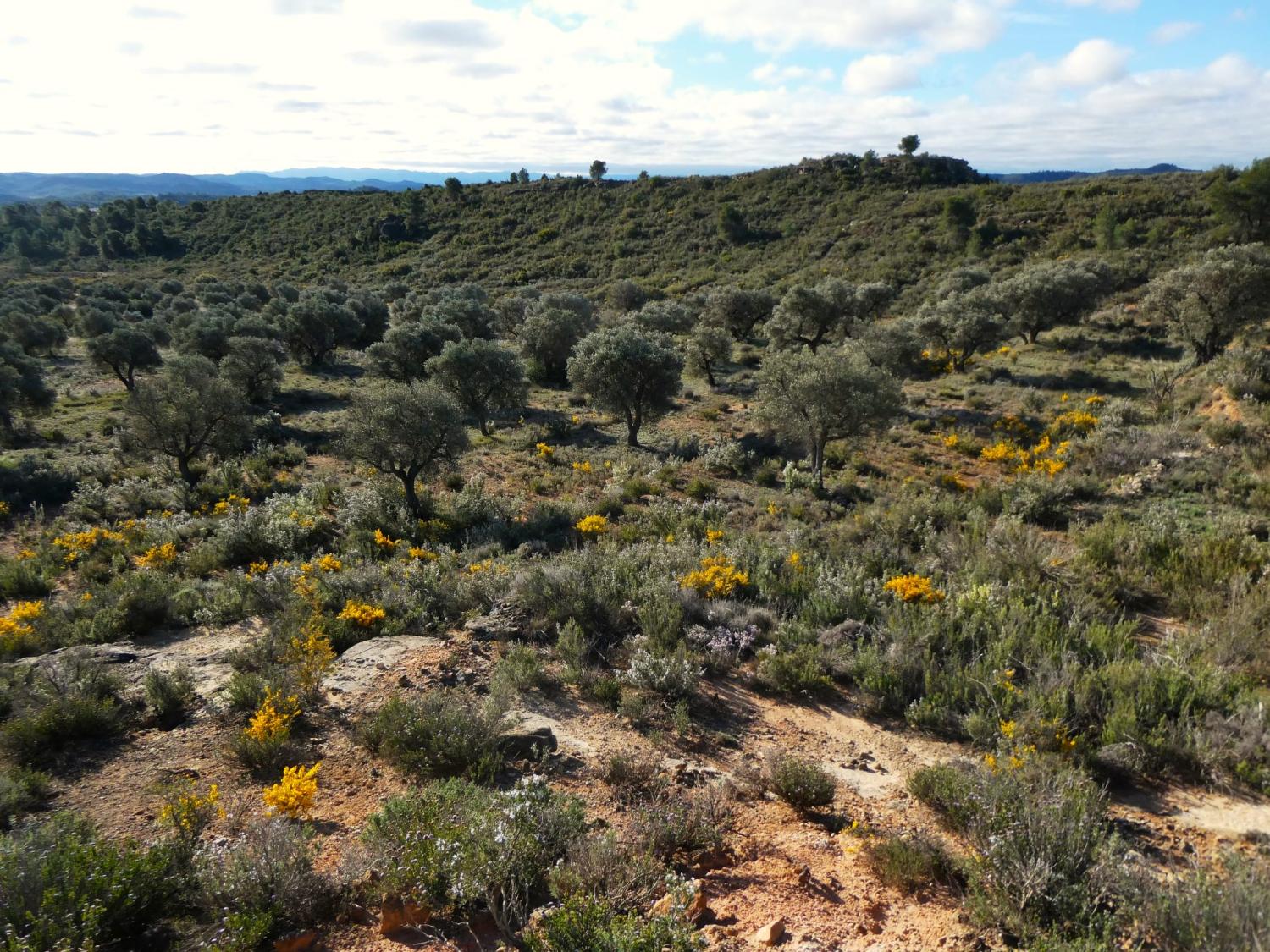  for sale country house Fabara Bajo Aragón-Caspe 27