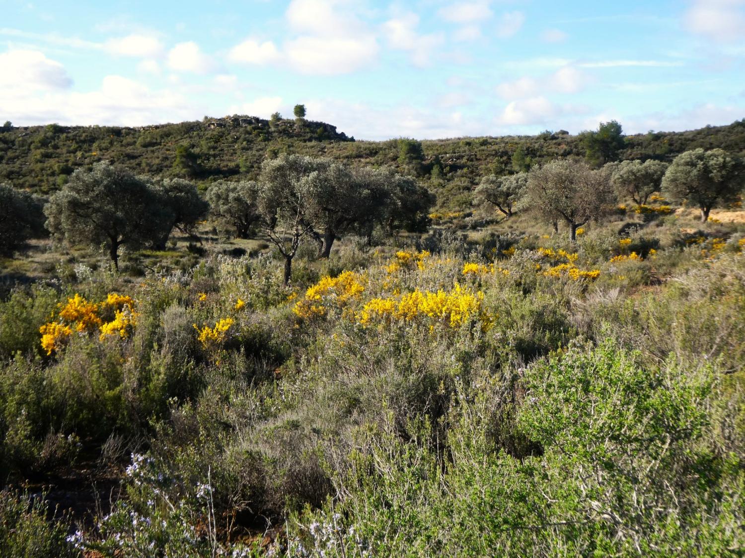  for sale country house Fabara Bajo Aragón-Caspe 26