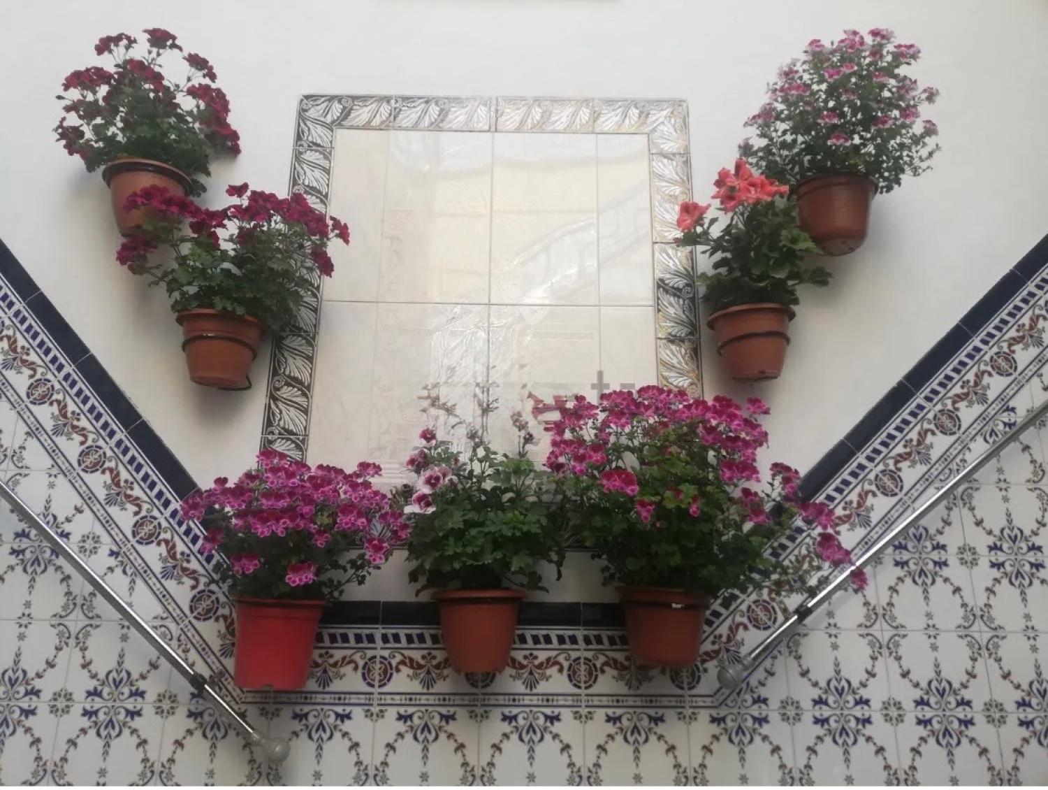  for sale house Montoro Alto Guadalquivir 30