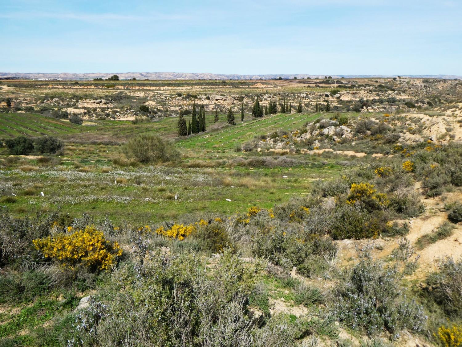  for sale country house Caspe Bajo Aragón-Caspe 38