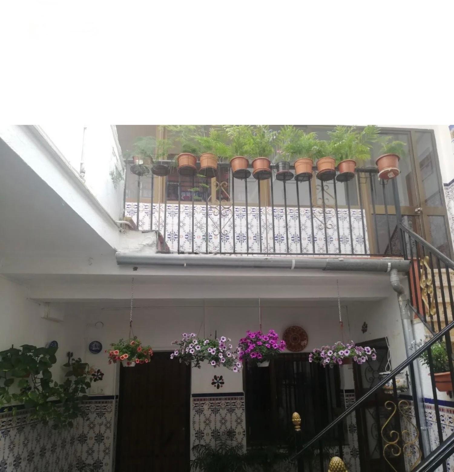 for sale house Montoro Alto Guadalquivir 33