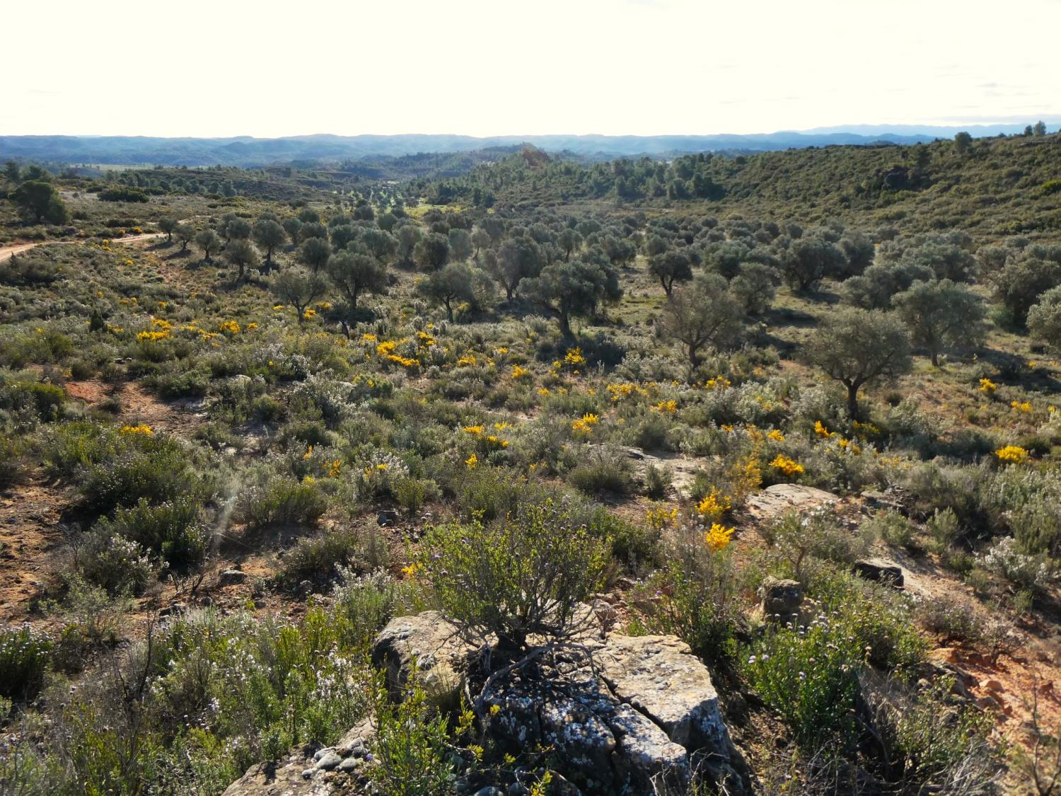  for sale country house Fabara Bajo Aragón-Caspe 28