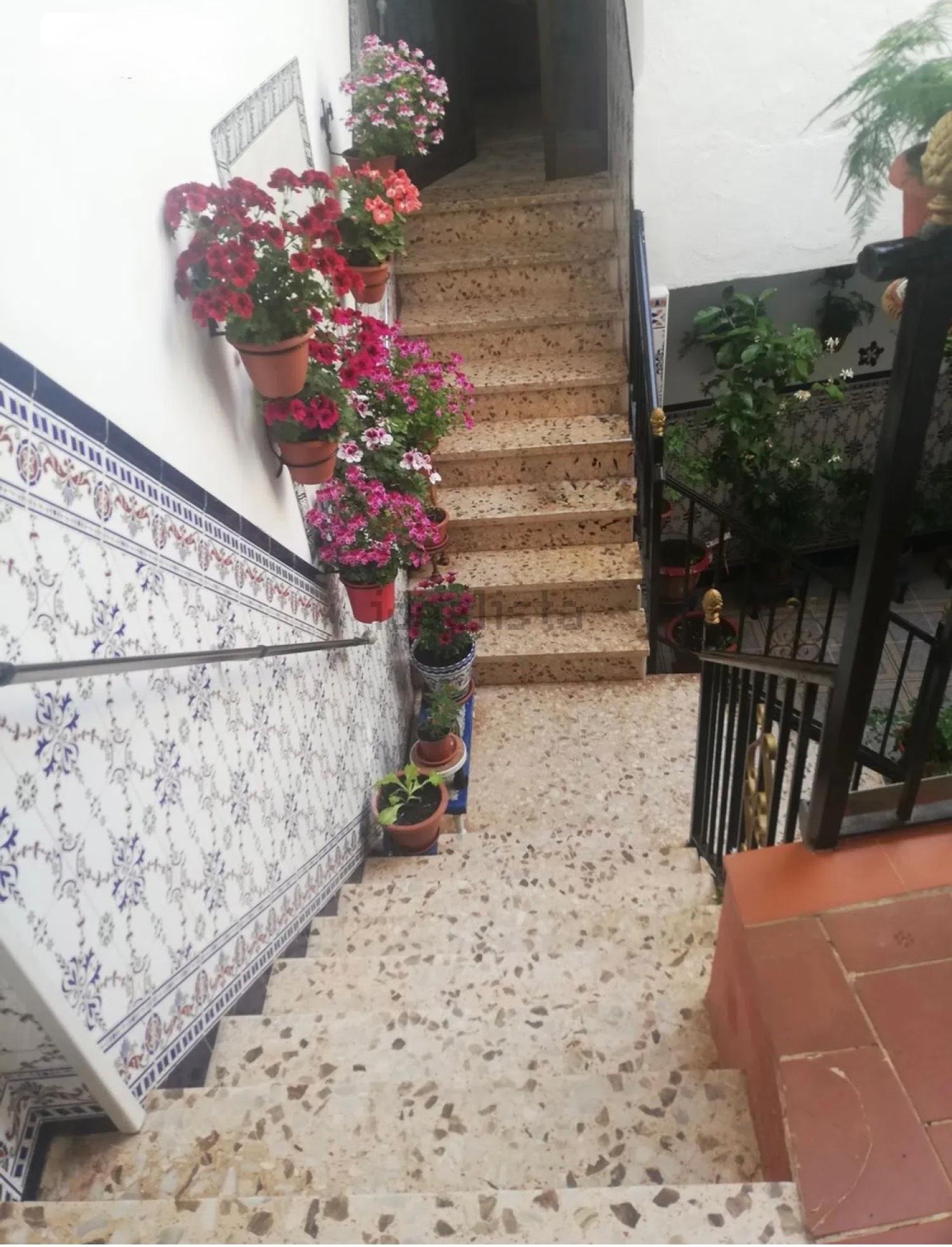  for sale house Montoro Alto Guadalquivir 21