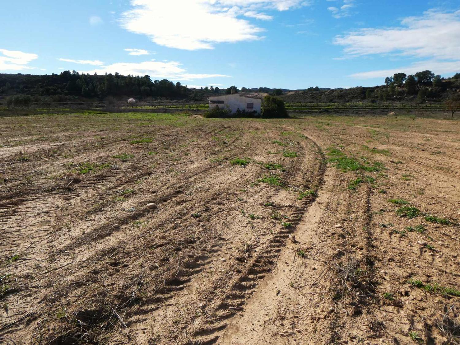  for sale country house Fabara Bajo Aragón-Caspe 30
