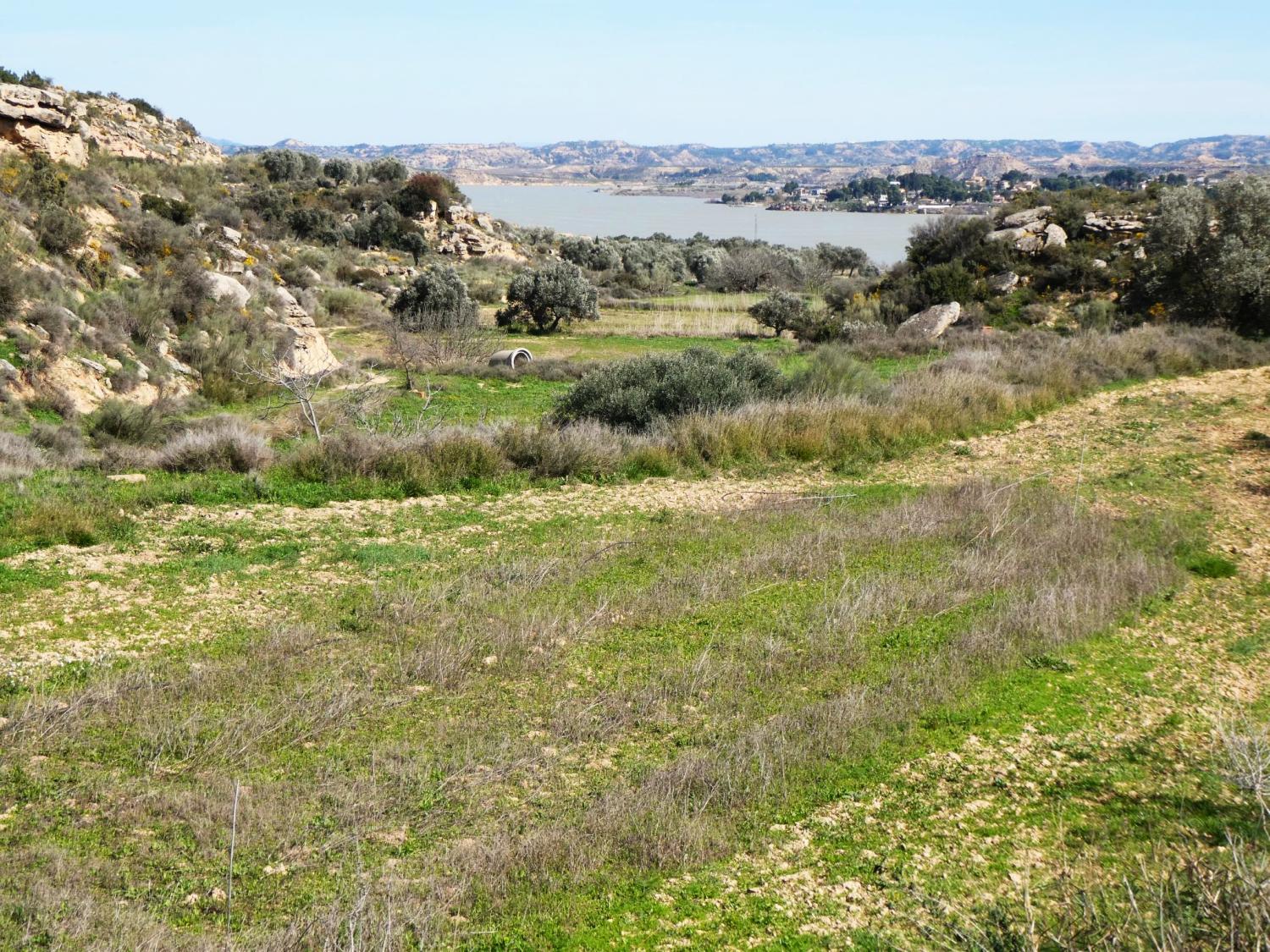  for sale country house Caspe Bajo Aragón-Caspe 32