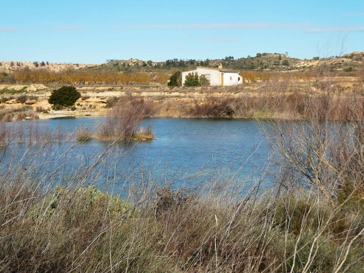  for sale country house Fabara Bajo Aragón-Caspe 2