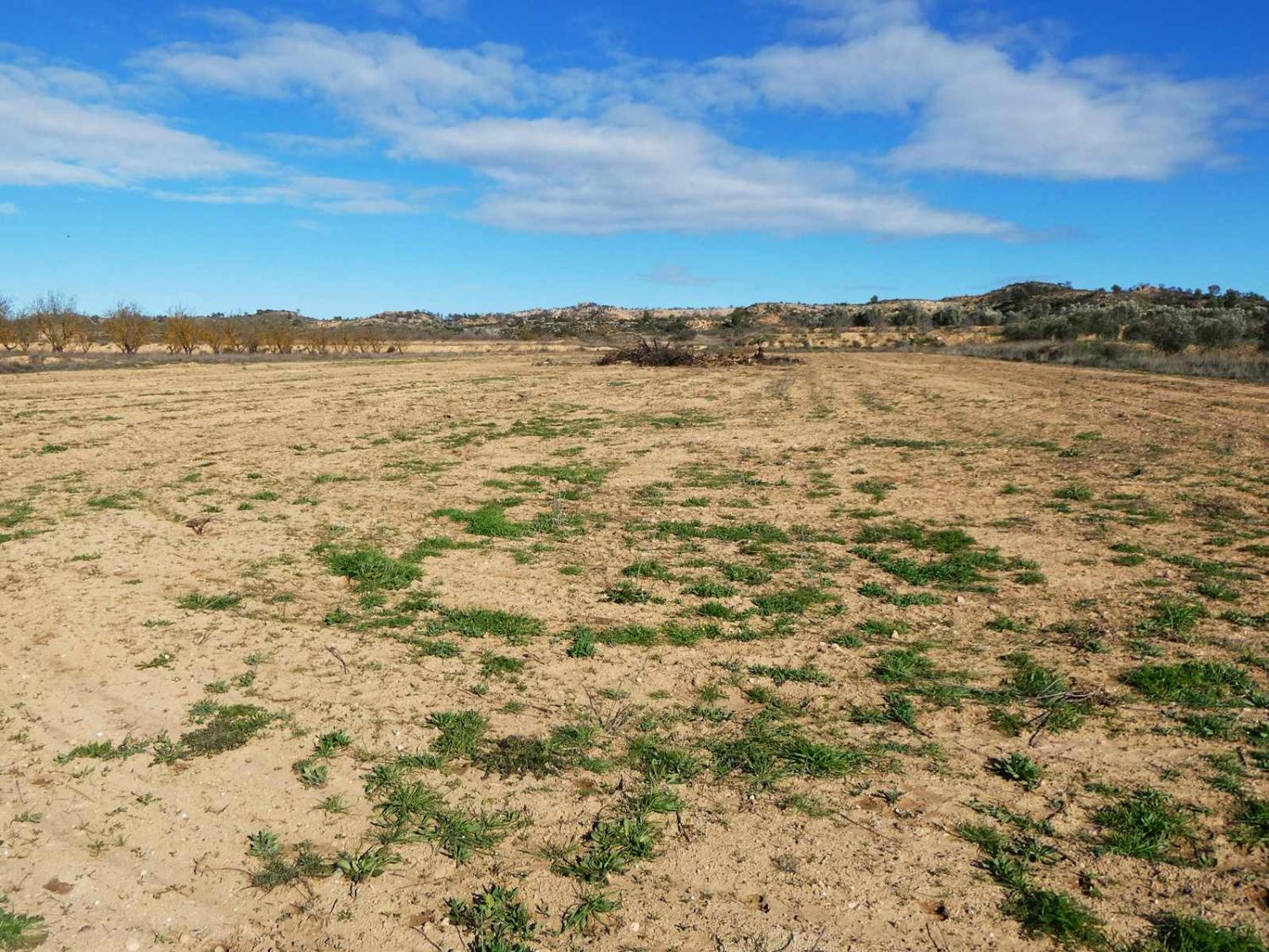  for sale country house Fabara Bajo Aragón-Caspe 17