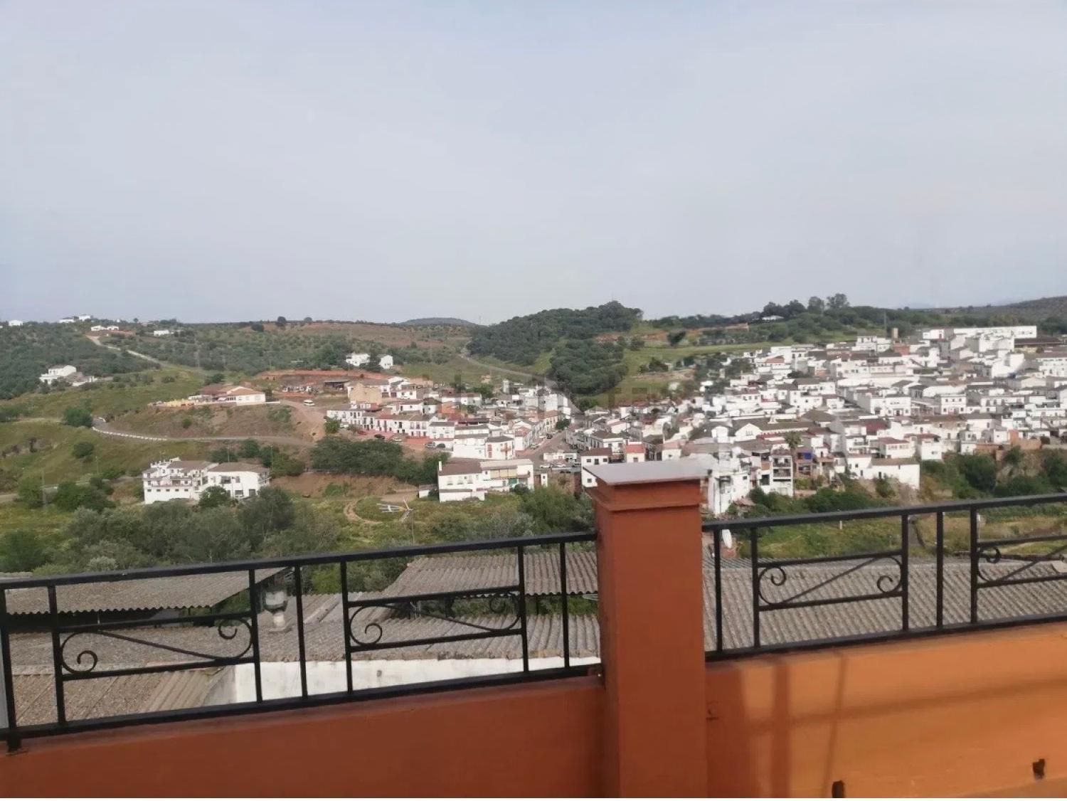  for sale house Montoro Alto Guadalquivir 19