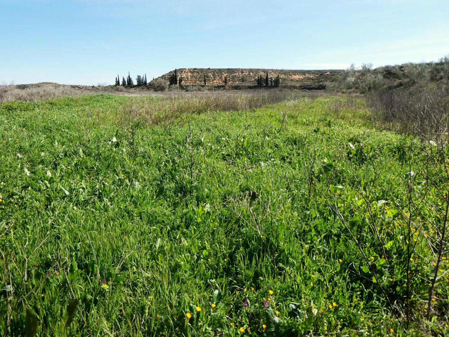  for sale country house Caspe Bajo Aragón-Caspe 33