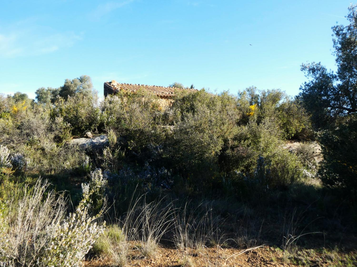  for sale country house Fabara Bajo Aragón-Caspe 20