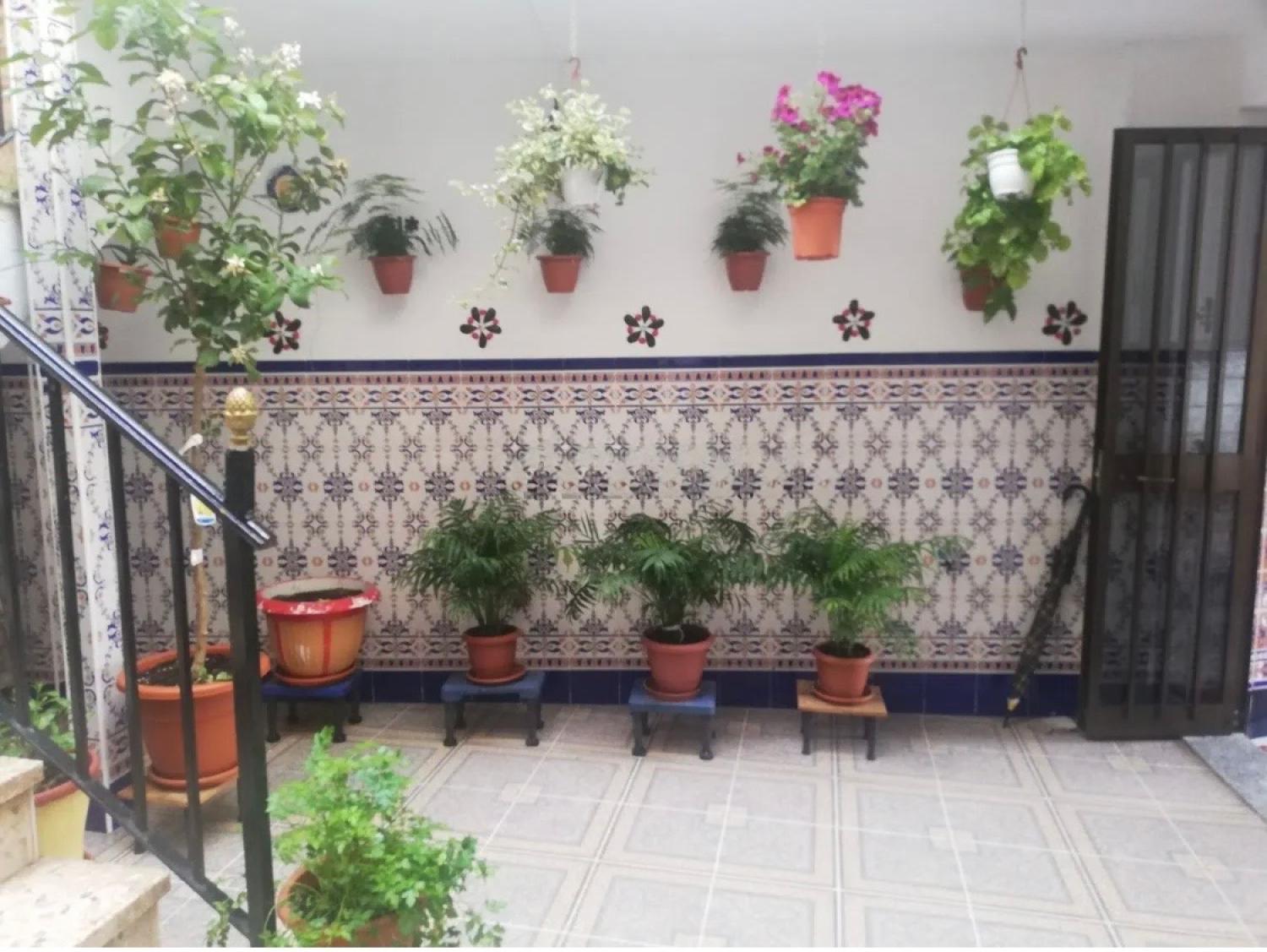 for sale house Montoro Alto Guadalquivir 34