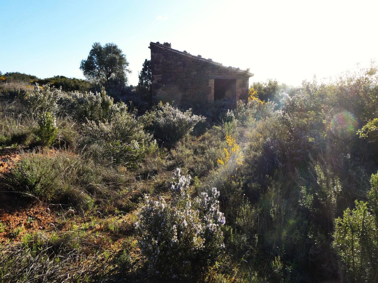  for sale country house Fabara Bajo Aragón-Caspe 9
