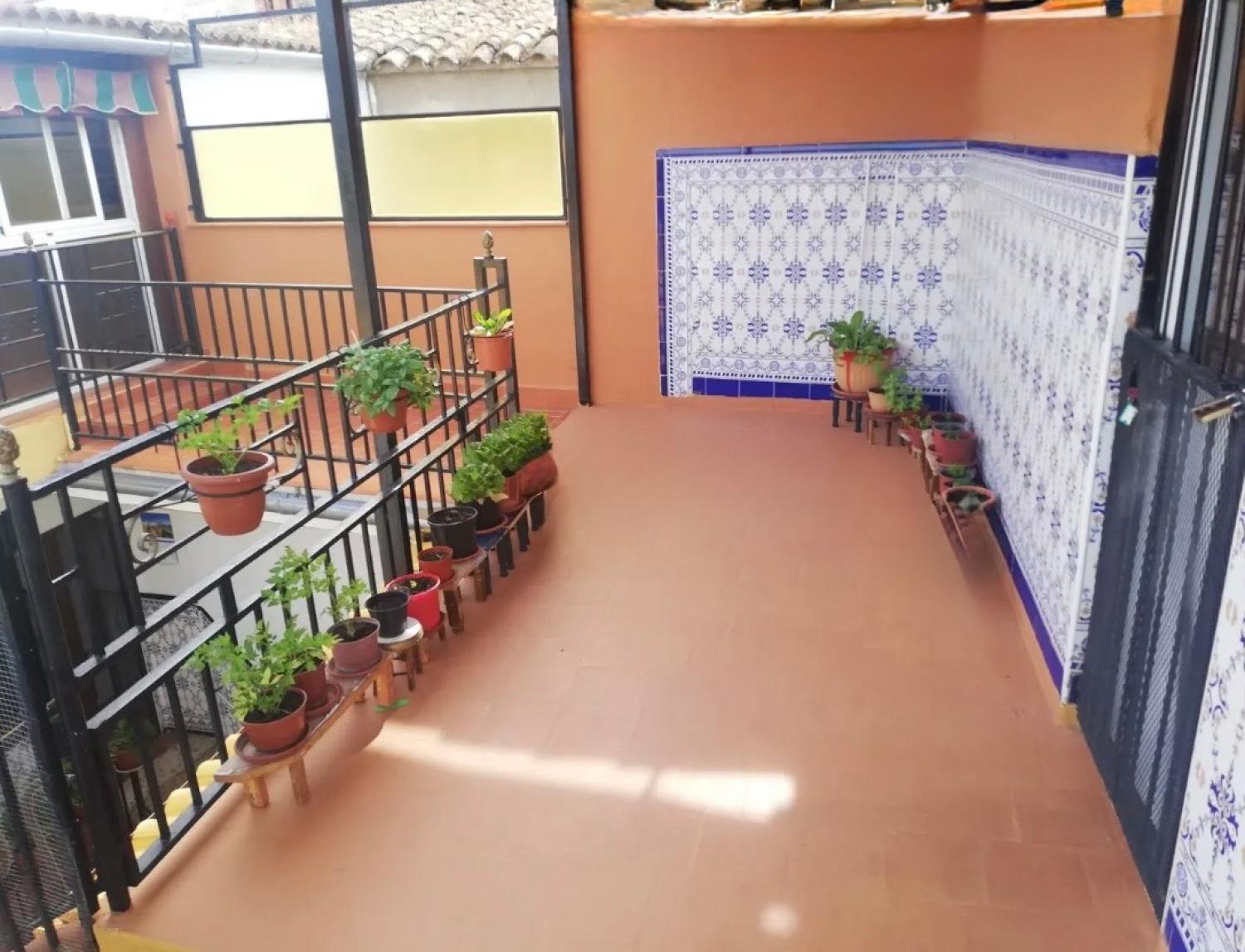  for sale house Montoro Alto Guadalquivir 13