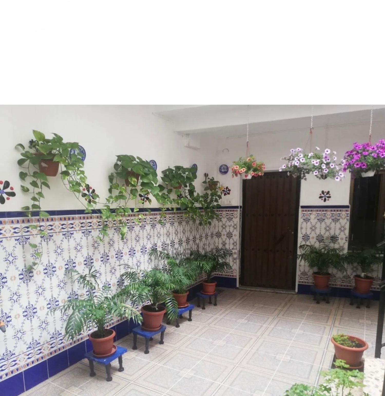  for sale house Montoro Alto Guadalquivir 3