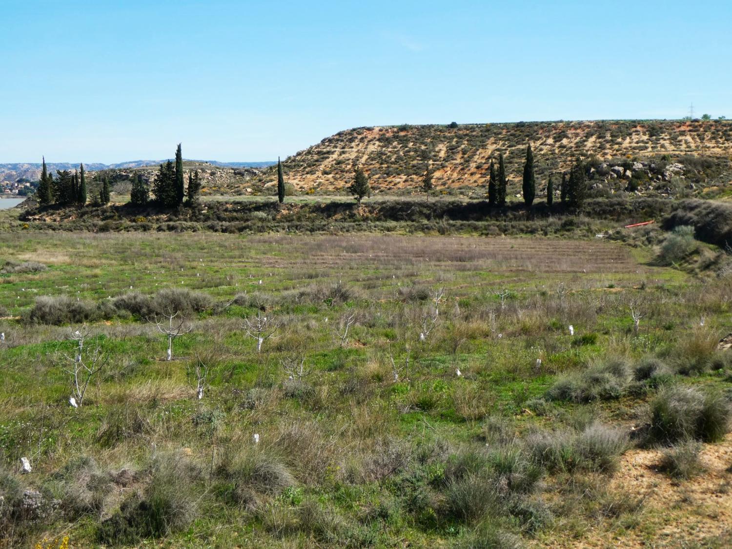  for sale country house Caspe Bajo Aragón-Caspe 34