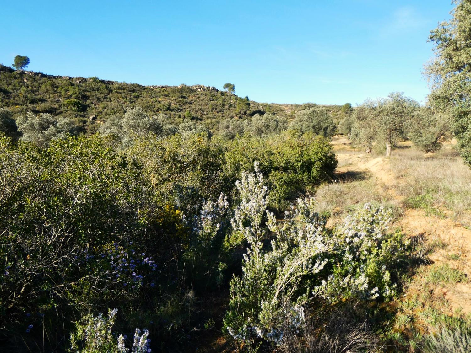  for sale country house Fabara Bajo Aragón-Caspe 14