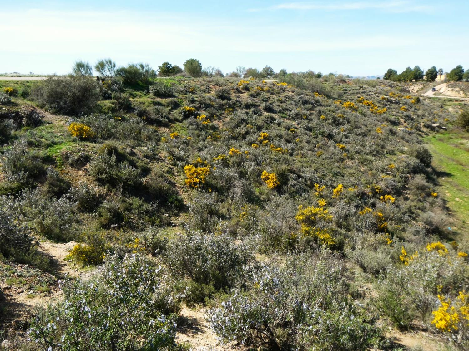  for sale country house Caspe Bajo Aragón-Caspe 36